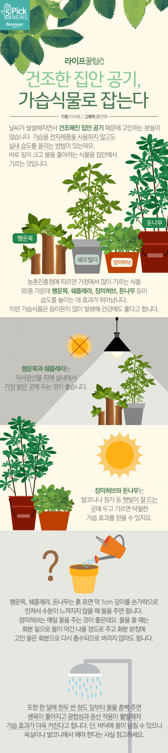  건조한 집안 공기, 가습식물로 잡는다 기사의 사진