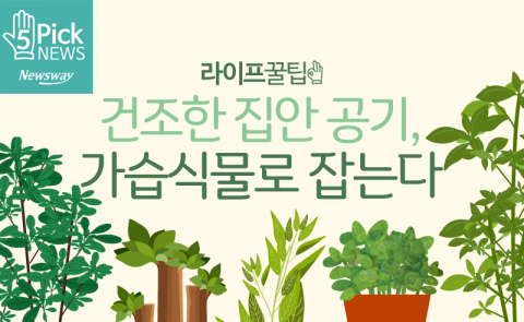  건조한 집안 공기, 가습식물로 잡는다