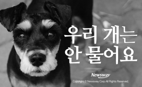  우리 개는 안 물어요