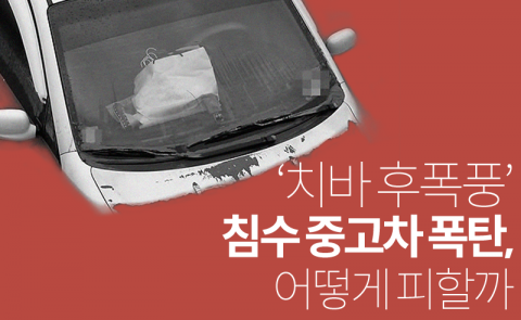  ‘치바 후폭풍’ 침수 중고차 폭탄, 어떻게 피할까