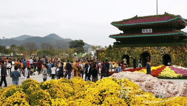 함평국향대전, 천억송이 국화물결-가을향기 흠뻑 '성황' 기사의 사진
