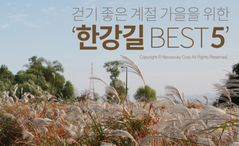  걷기 좋은 계절 가을을 위한 ‘한강길 베스트 5’
