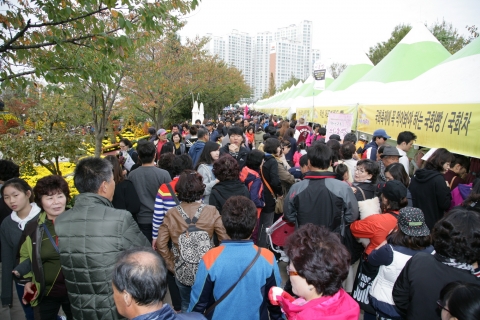 '익산 천만송이 국화축제' 관광객 몰려 연일 대성황