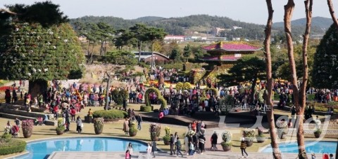 주말 인파몰린 함평국향대전