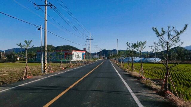 장흥군 용산면, 숲속의 용산 만들기