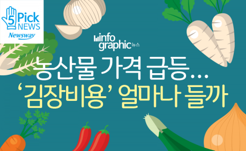  농산물 가격 급등···‘김장 비용’ 얼마나 들까