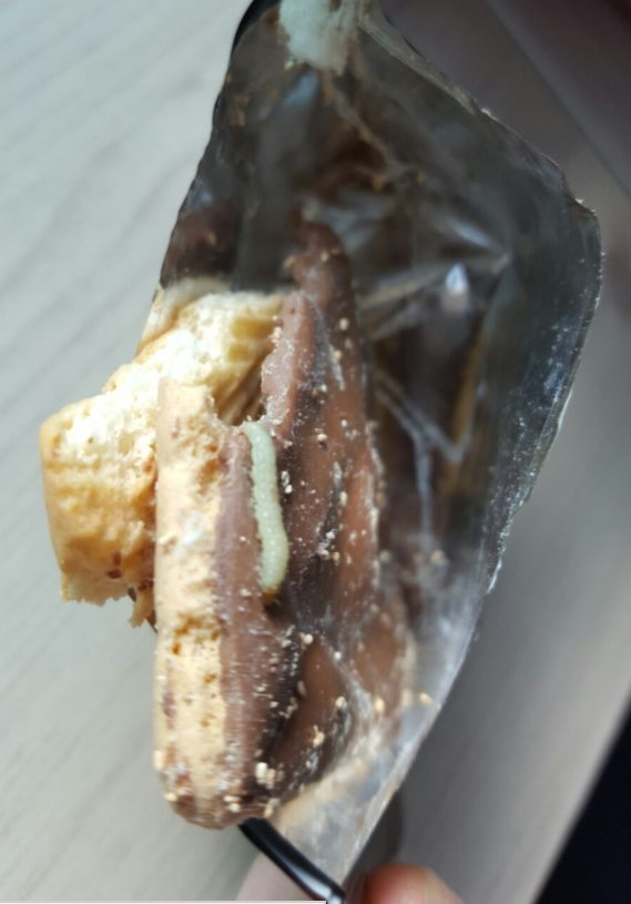 해태제과 에이스초콜라또에서 발견된 애벌레. 사진=네이버 블로그 캡쳐