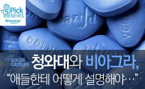  청와대와 비아그라, “애들한테 어떻게 설명해야···”