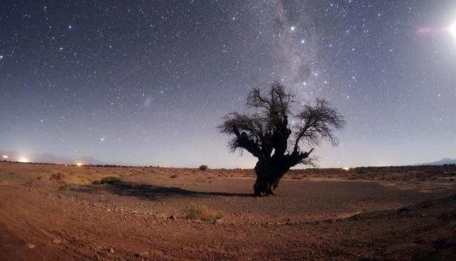 천체 사진작가 황인준의 고목과 은하수