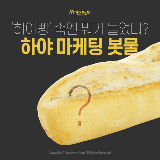  ‘하야빵’ 속엔 뭐가 들었나? 하야 마케팅 봇물 기사의 사진