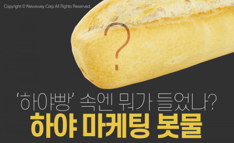  ‘하야빵’ 속엔 뭐가 들었나? 하야 마케팅 봇물