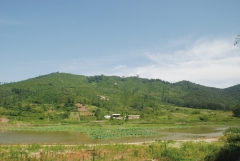 오성산