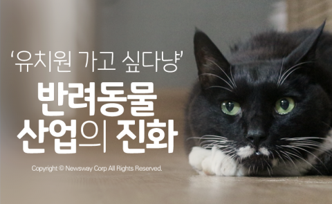  ‘유치원 가는 고양이’···반려동물 산업의 진화