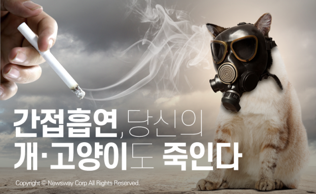  간접흡연, 당신의 개·고양이도 죽인다