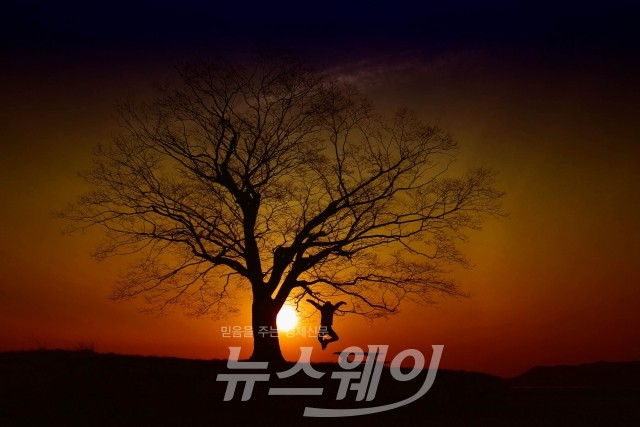 (사진=화순군)