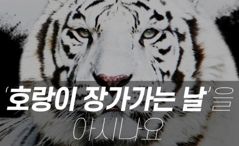 ‘호랑이 장가가는 날’을 아시나요