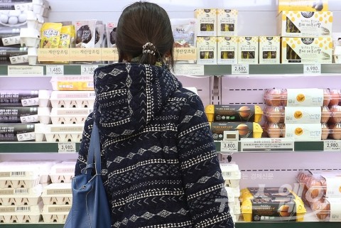 ‘계란’에 놀란 정부···수입란 3만5000톤 무관세 수입 허용