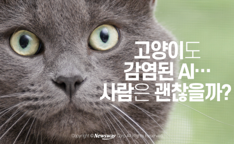  고양이도 감염된 AI···사람은 괜찮을까?