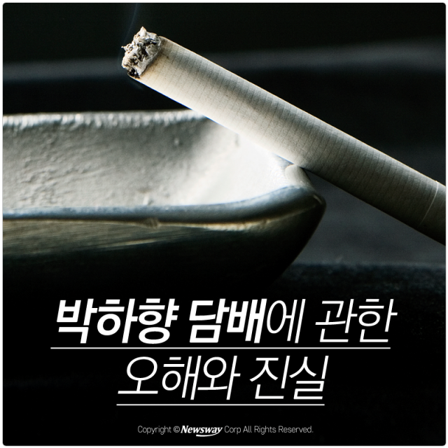  박하향 담배에 관한 오해와 진실 기사의 사진