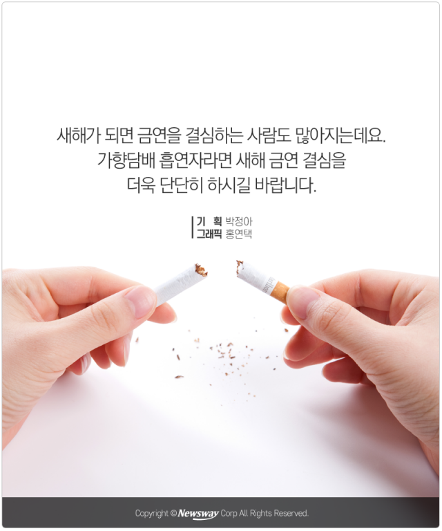  박하향 담배에 관한 오해와 진실 기사의 사진