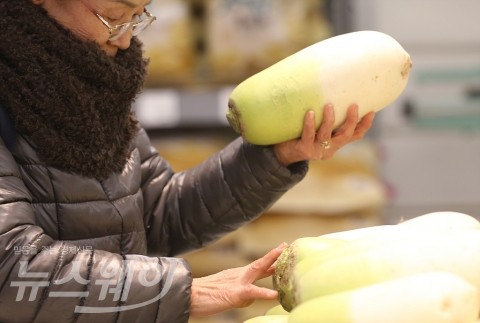 8월 소비자물가 2.6% 상승···64개월 만에 최대폭 치솟아
