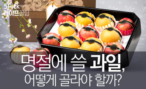  명절에 쓸 과일, 어떻게 골라야 할까?