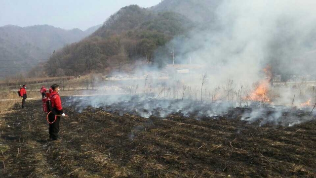 부산 백양산 산불···등산객 1명 화상 기사의 사진