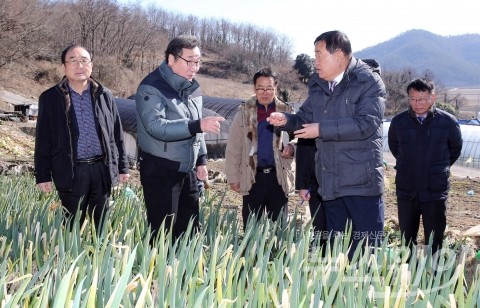 이낙연 전남지사가 31일 오후 국내 겨울대파 주산지인 진도군 고군면 대파수확 현장을 방문, 이동진 진도군수로부터 대파 작황에 대해 설명을 듣고 있다. 사진=전남도 제공