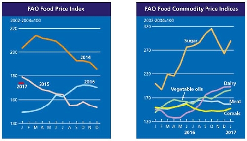 세계식량가격지수. 사진= 농림축산식품부 제공