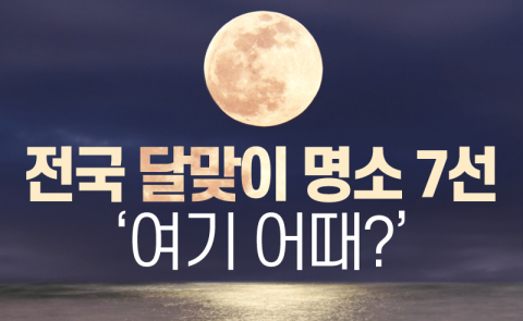  전국 달맞이 명소 7선 ‘여기 어때?’