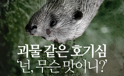  괴물 같은 호기심 ‘넌, 무슨 맛이니?’