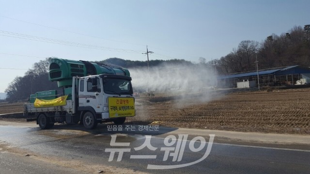 곡성군, AI에 이어 구제역 합동방역 실시 기사의 사진