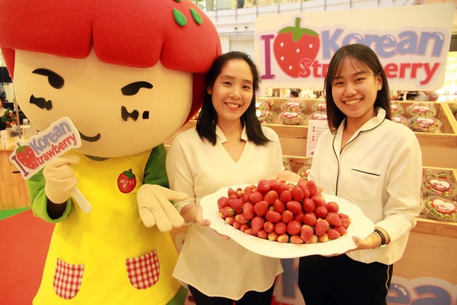 “한국딸기, 태국서 밸런타인데이 선물로 인기”