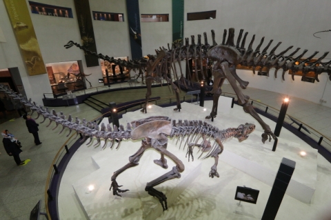 목포자연사박물관, ‘2017 전시‧관광콘텐츠개발사업’ 선정