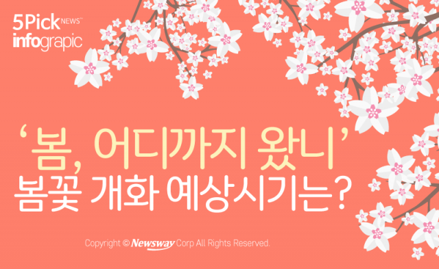  ‘봄, 어디까지 왔니’ 봄꽃 개화 예상시기는?