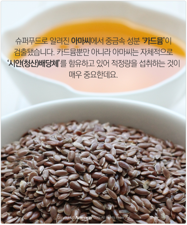  ‘아마씨 말고 또?’ 잘못 먹으면 독 되는 씨앗들 기사의 사진