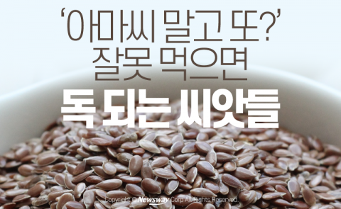  ‘아마씨 말고 또?’ 잘못 먹으면 독 되는 씨앗들