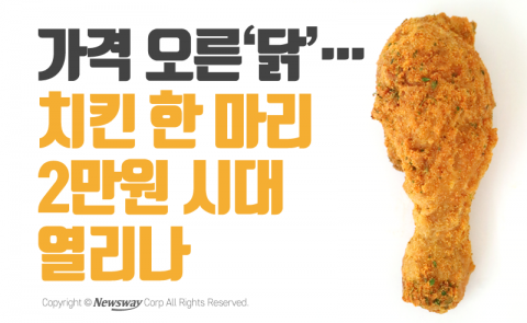  가격 오른 ‘닭’···치킨 한 마리 2만원 시대 열리나