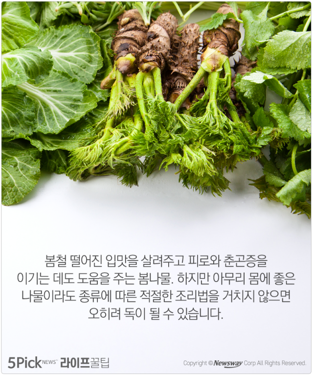  ‘밥상 위 보약’ 봄나물, 올바른 섭취법은? 기사의 사진