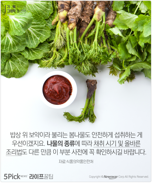  ‘밥상 위 보약’ 봄나물, 올바른 섭취법은? 기사의 사진