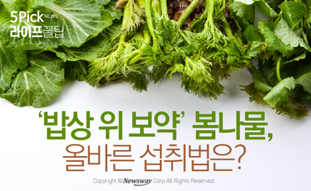  ‘밥상 위 보약’ 봄나물, 올바른 섭취법은?
