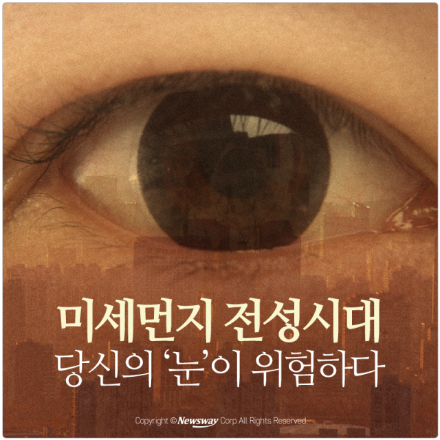  미세먼지 전성시대, 당신의 ‘눈’이 위험하다 기사의 사진