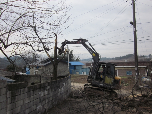 보성군이 재해위험 수목을 일제정비하고 있다.