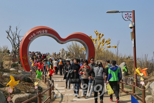 봄날의 왕관, 구례산수유꽃축제 놀러오세요! 기사의 사진