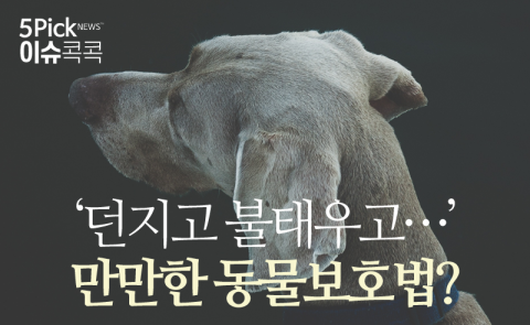  ‘던지고 불태우고···’ 만만한 동물보호법?