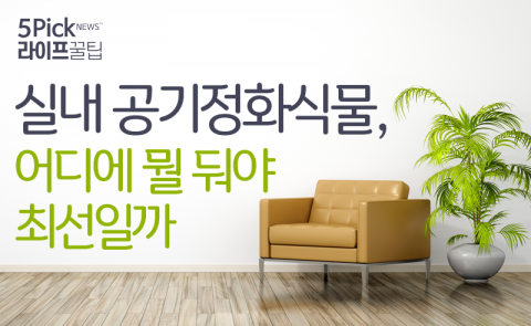  실내 공기정화식물, 어디에 뭘 둬야 최선일까