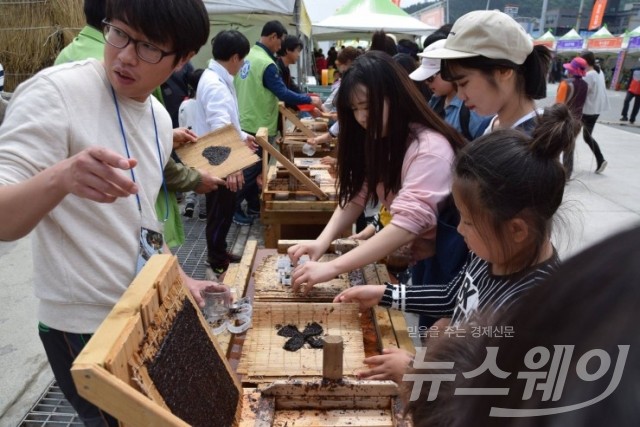 완도국제해조류박람회, '세상에서 가장 큰 김 만들기' 도전하세요!