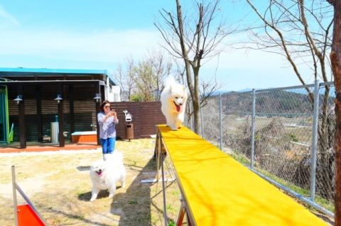 도로공사 광주전남, 오수휴게소 ‘반려동물 테마파크’ 개장