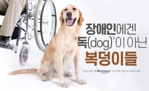  장애인에겐 ‘독’이 아닌 복덩이들