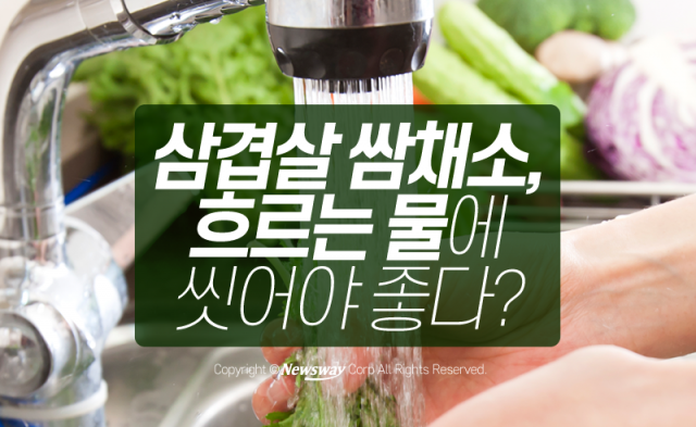  채소·과일 세척, ‘흐르는 물 VS 받은 물’ 어디서?